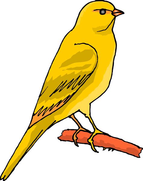 Canary Bird Clipart Etc Clipart Best Clipart Best