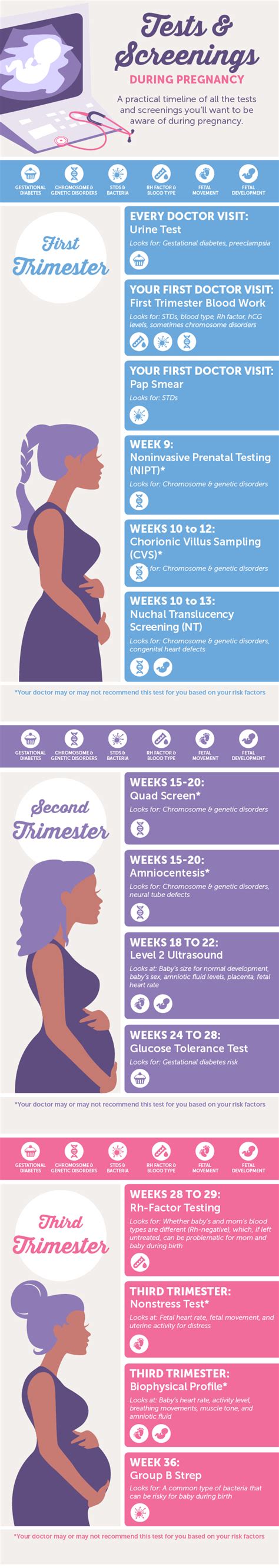 Infographic Pregnancy Tests And Screenings