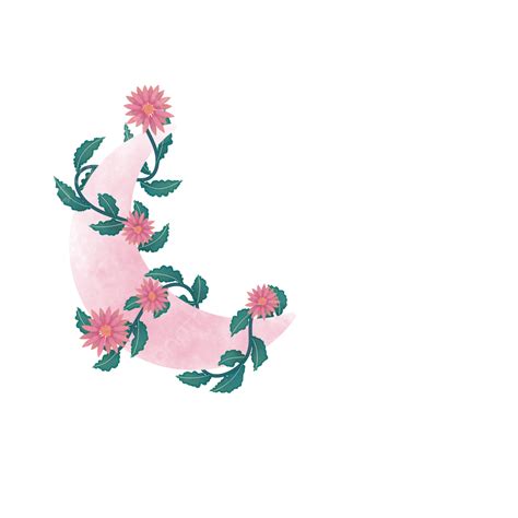 Crescent Moon Hd Transparent Crescent Moon Illustration With Flower