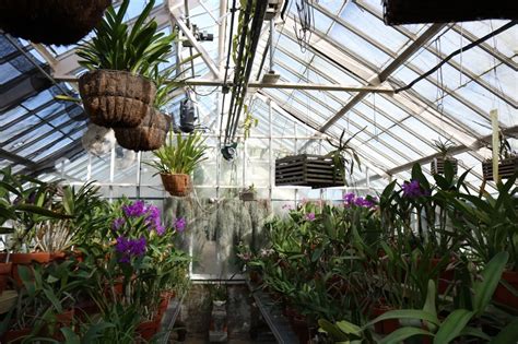 The Greenhouses Collection — Planting Fields Arboretum Ny