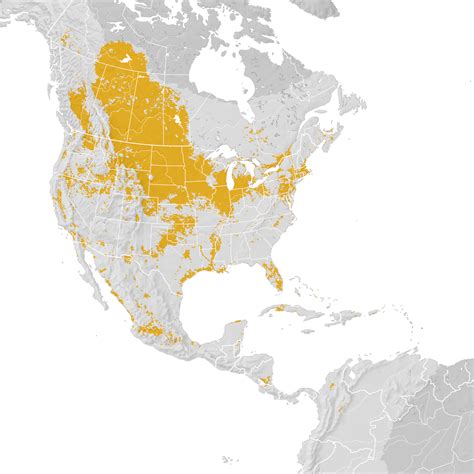 Sora Range Map Pre Breeding Migration Ebird Status And Trends