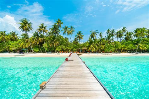 Estas Son Las Mejores Playas Del Caribe ¡disfruta Del Paraíso Caribeño