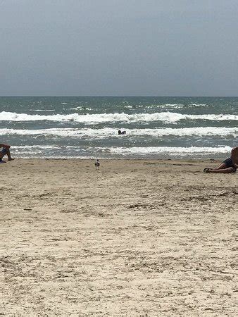 Malaquite Beach Corpus Christi All You Need To Know Before You