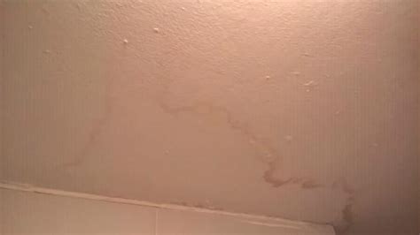 Orange Brown Spots On Bathroom Ceiling Shelly Lighting