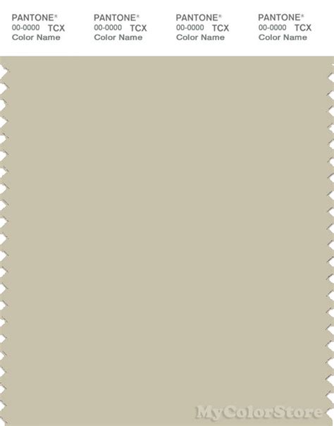 Pantone Smart 14 0108 Tcx Color Swatch Card Pantone Pale Gray Green