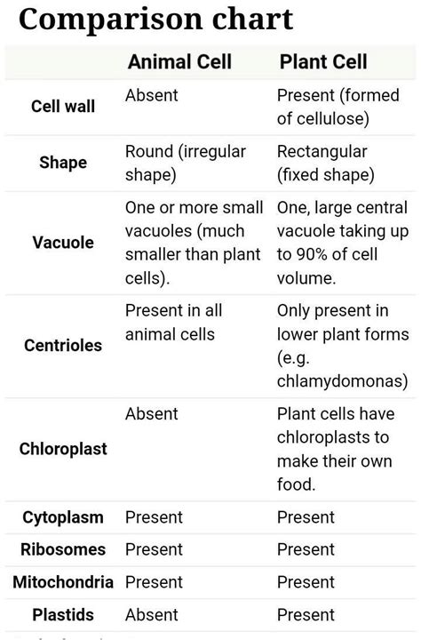 Living organism fluctuate in size but 6. hi all.... Differentiate between (a) plant and animal cell ...
