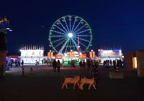 Auditor Blasts Colorado State Fair Authority For Losing Millions Of