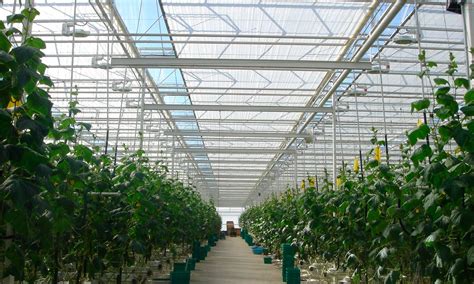 Curtain Systems Prins Greenhouses