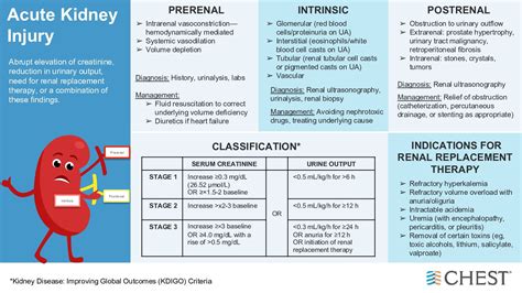 Acute Kidney Injury Differential Diagnosis Framework Prerenal