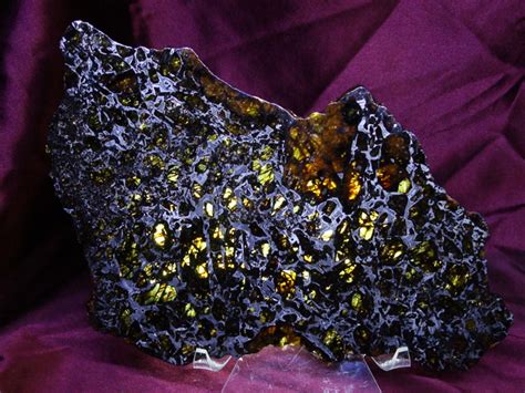 Admire Pallasite Meteorite Collection