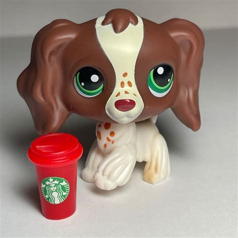 Littlest Pet Shop Starbucks Etsy