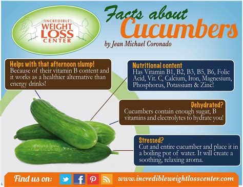 Facts About Cucumbers Nutritional Content Probiotic Foods Healthy
