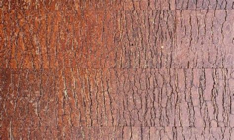 Rough Pine Wall Coverings Gallery Bark House