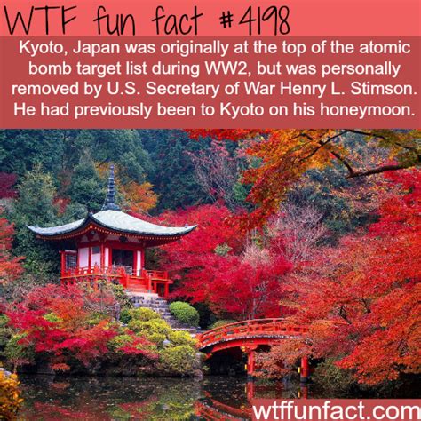 There are some extremely interesting facts about malaysia (*insert snarky tone here*) that are equally as important for you to know… like where the word ketchup comes from and the toilet habits of newlyweds. kyoto japan wtf fun facts