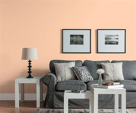 Peach Paint Color For Living Room Detail With Full Pictures All