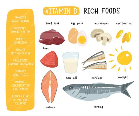 Premium Vector Collection Of Vitamin D Sources Food Enriched With