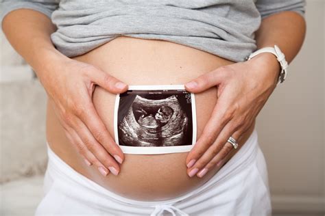LGBTQ Fertility Options Hellobaby Surrogacy Egg Donation