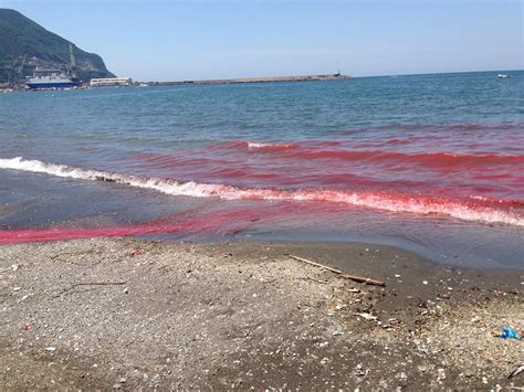 See 400 reviews, articles, and 266 photos of lungomare di di stabia, ranked no.4 on tripadvisor among 35 attractions in castellammare di stabia. Incredibile a Castellamare di Stabia: il mare diventa ...