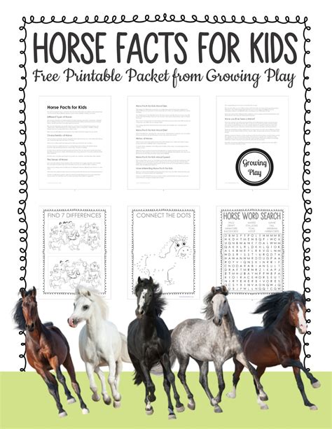 Horse Fun Facts And Activities For Horse Crazy Kids Images And Photos