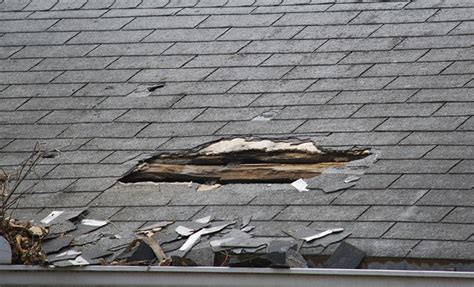 What To Do When Your Florida Roof Damage Claim Is Denied Malik Law Pa