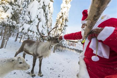 Reindeers from the life and adventures of santa claus. List of Santa's Reindeer Names | LoveToKnow