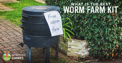 5 Best Worm Farm Kits For Garden And Fishing Reviews