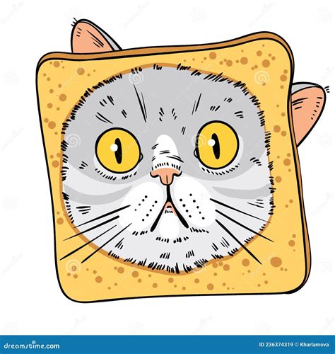 Face Of Surprised Cat Is In Piece Of Bread Cat Portrait Drawing Stock