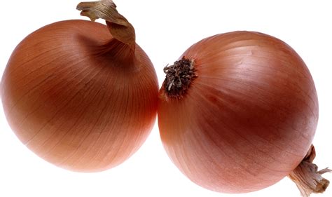 Onion HD PNG Transparent Onion HD.PNG Images. | PlusPNG png image