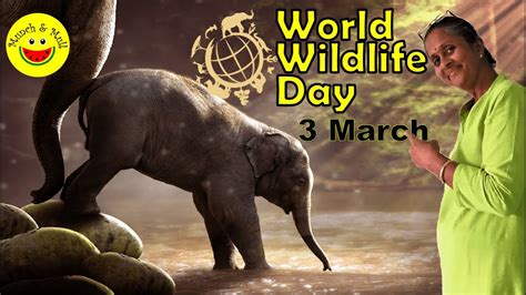 How To Celebrate World Wildlife Day 2020 🌍 Do One Thing Today Youtube
