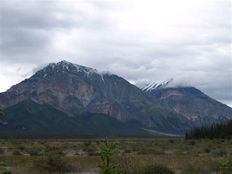 Bioblitz At A Glance: Kluane National Park And Reserve | Beaty 