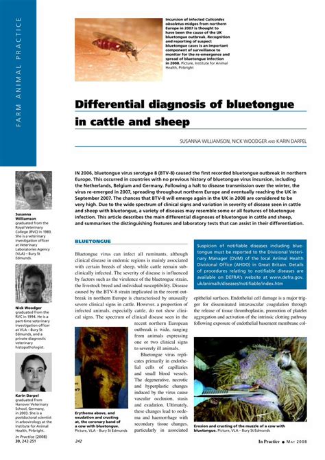Pdf Differential Diagnosis Of Bluetongue In Cattle And Sheep · Lips
