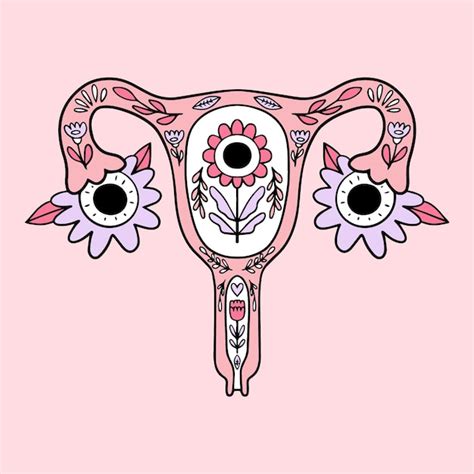 Free Vector Illustrated Abstract Female Reproductive System With