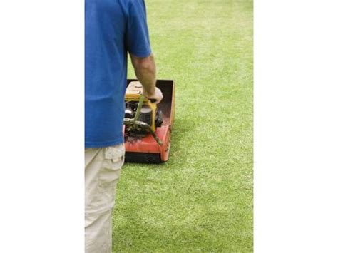 How much does dethatching cost? How to Get St. Augustine Grass to Grow Thick (with Pictures) | eHow