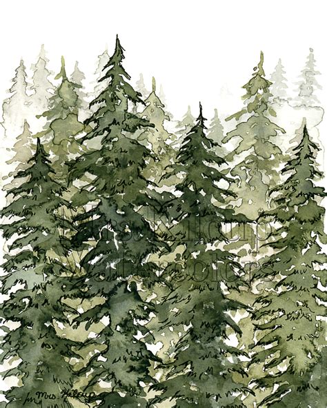 Watercolor Pine Trees Pine Tree Painting Pine Tree Art Tree Painting