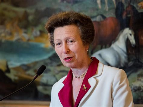 Coronavirus: Princess Anne says 'there is no such thing as an unskilled ...