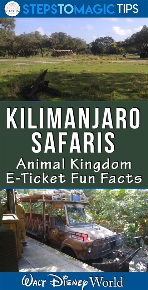 Fun Facts About Kilimanjaro Safaris Disney World Vacation Planning