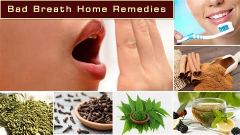 bad breath home remedies dur kare saanso ki durgandh