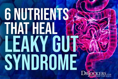 6 Nutrients That Heal Leaky Gut Syndrome