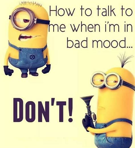 Bad Moods Need No Convo Minions Funny Minions Love Minions Quotes