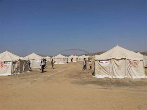 مفوضية اللاجئين 77 من النازحين في اليمن نساء وأطفال وكالة 2 ديسمبر الإخبارية