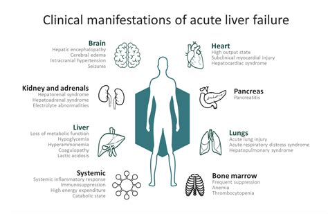 Liver Disease Symptoms Causes Treatment Dr Ram C Soni