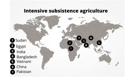 What Is Intensive Subsistence Agriculture Or Farming Science Query