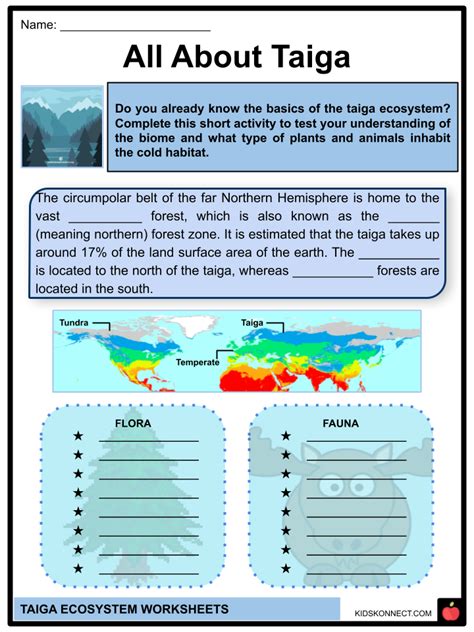 Taiga Ecosystem Facts And Worksheets Geography Characteristics