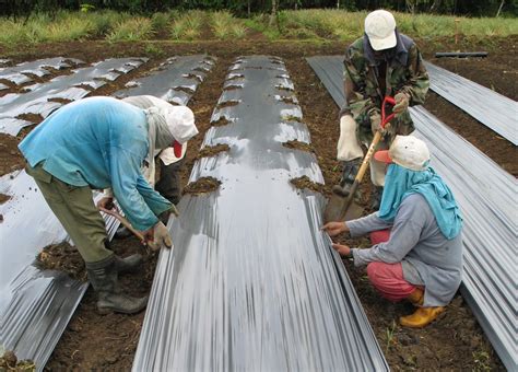 One person may become unemployed as long as he or she is involved in the labour market. All About the Economic Problems of the Philippines ...