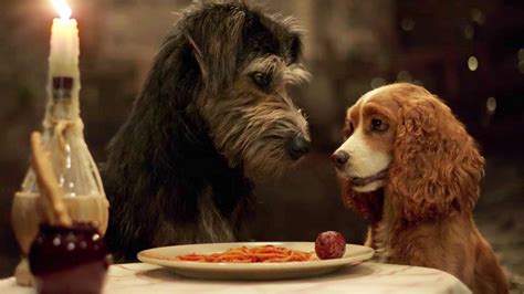 The Adorable Trailer For Disneys Live Action Lady And The Tramp