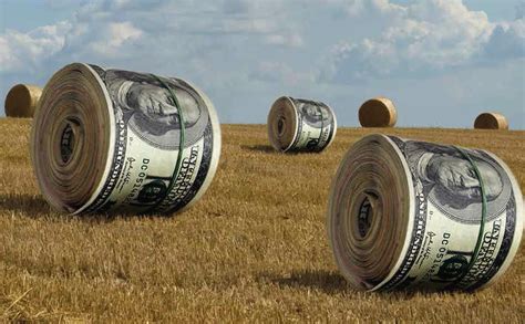Roll the down payment into the purchase price. Is Wall Street Eyeing America's Farmland? - Modern Farmer