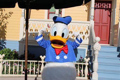 Donald Duck At Disneyland Paris Scrolller