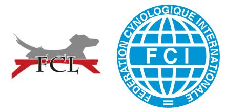 Fcl container size and dimensions. Juges - FCL