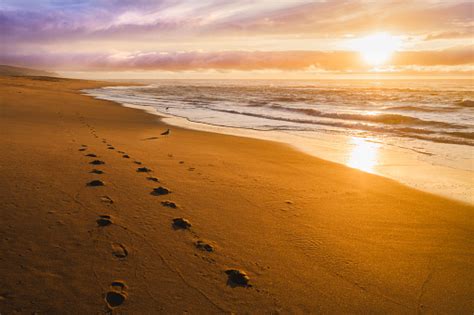 Beautiful Sunset On A Beach With Footprints On The Sand Stock Photo
