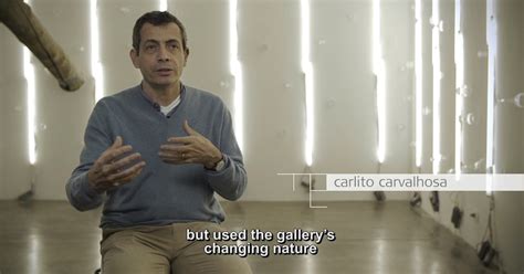 Luiz carlos cintra gordinho carvalhosa é um pintor e gravador brasileiro. carlito carvalhosa videos | Nara Roesler